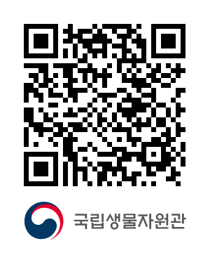 QR코드