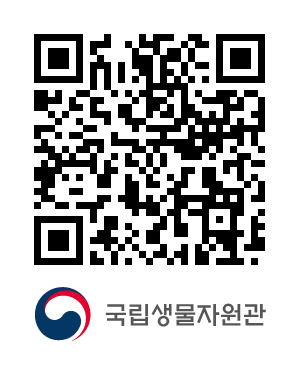 QR코드