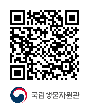 QR코드