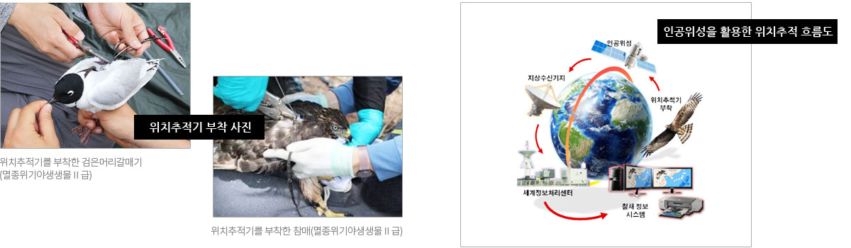 위치추적기 부착 사진