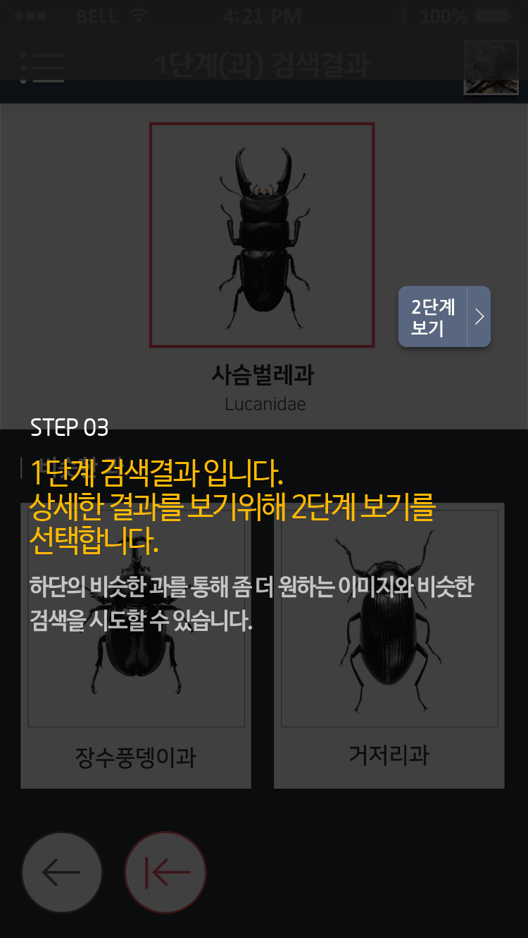 STEP 03 1단계 검색결과 입니다. 상세한 결과를 보기위해 2단계 보기를 선택합니다. 하단의 비슷한 과를 통해 좀 더 원하는 이미지와 비슷한 검색을 시도할 수 있습니다.