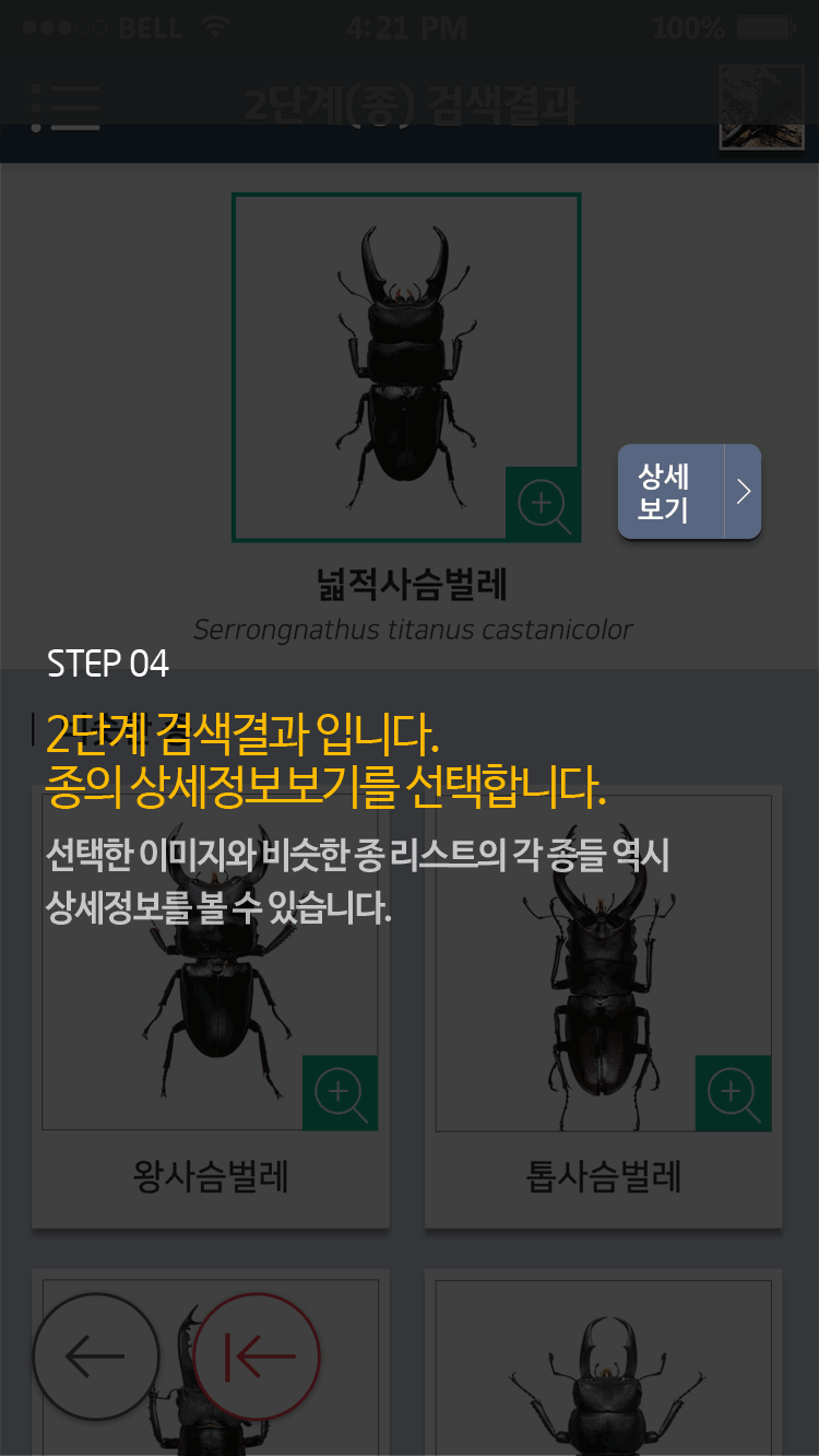 STEP 04 2단계 검색결과 입니다. 종의 상세정보보기를 선택합니다.선택한 이미지와 비슷한 종 리스트의 각 종들 역시 상세정보를 볼 수 있습니다.