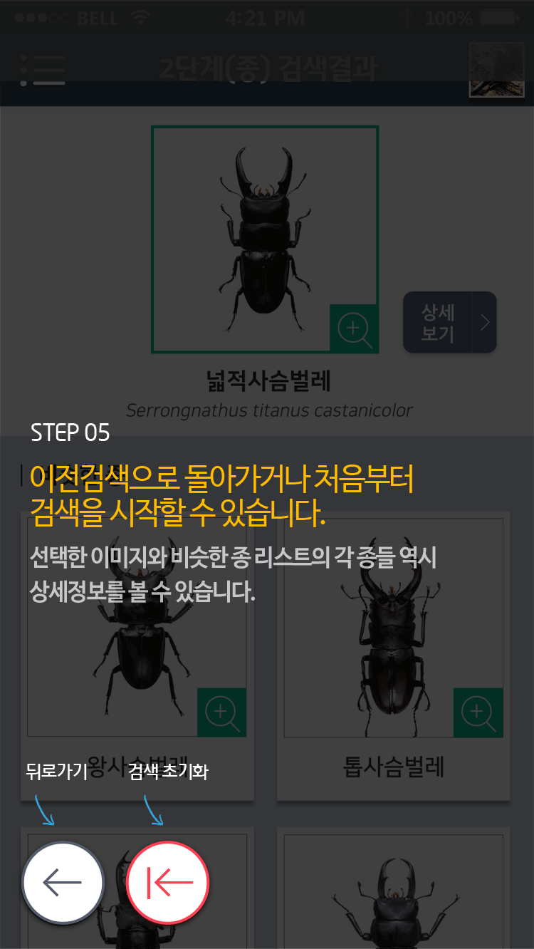 STEP 05 이전검색으로 돌아가거나 처음부터 검색을 시작할 수 있습니다. 선택한 이미지와 비슷한 종 리스트의 각 종들 역시 상세정보를 볼 수 있습니다.
