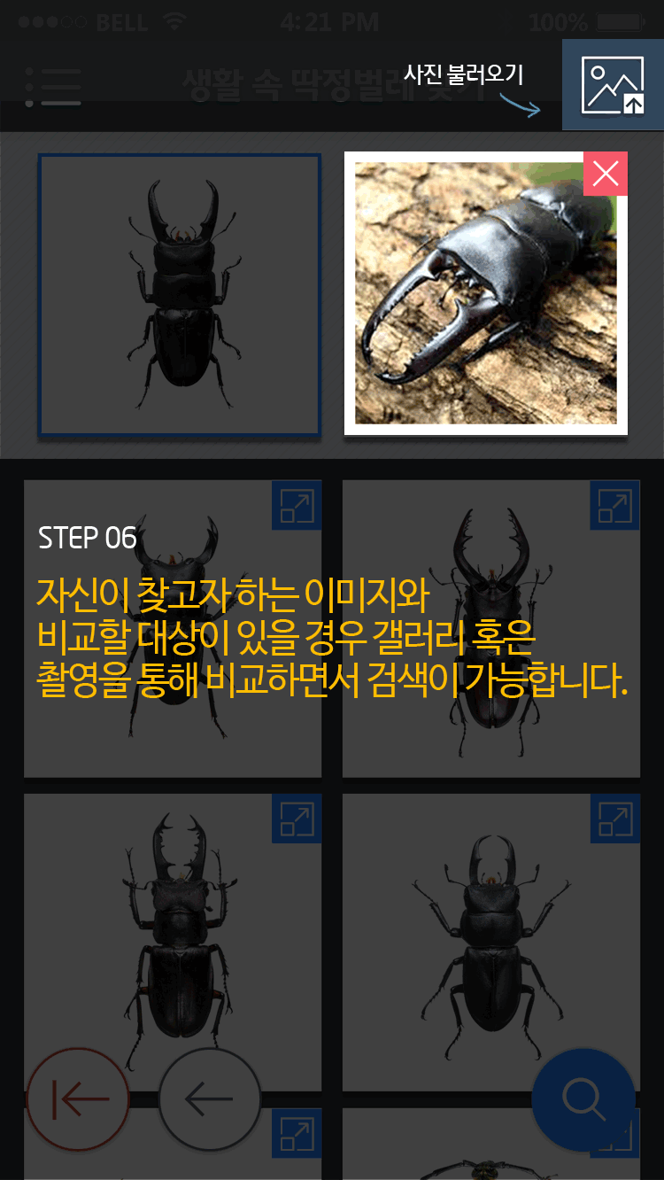 STEP 06 자신이 찾고자 하는 이미지와 비교할 대상이 있을 경우 갤러리 혹은 촬영을 통해 비교하면서 검색이 가능합니다.