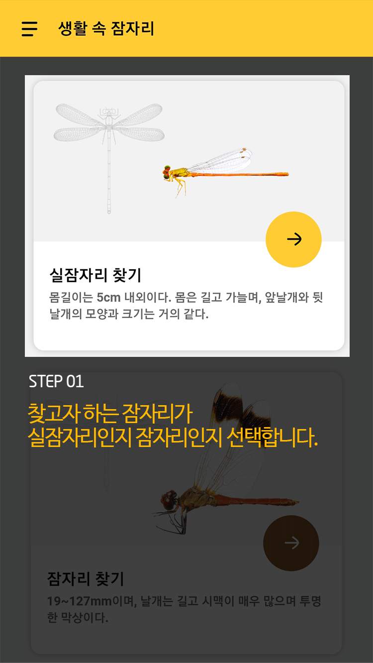 STEP 01 찾고자 하는 잠자리가 실잠자리인지 잠자리인지 선택합니다.
