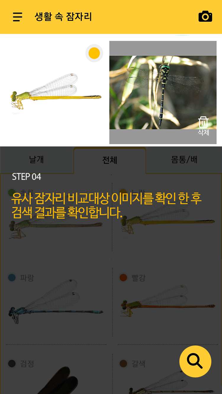 STEP 04 유사 잠자리 비교대상 이미지를 확인 한 후 검색 결과를 확인합니다.