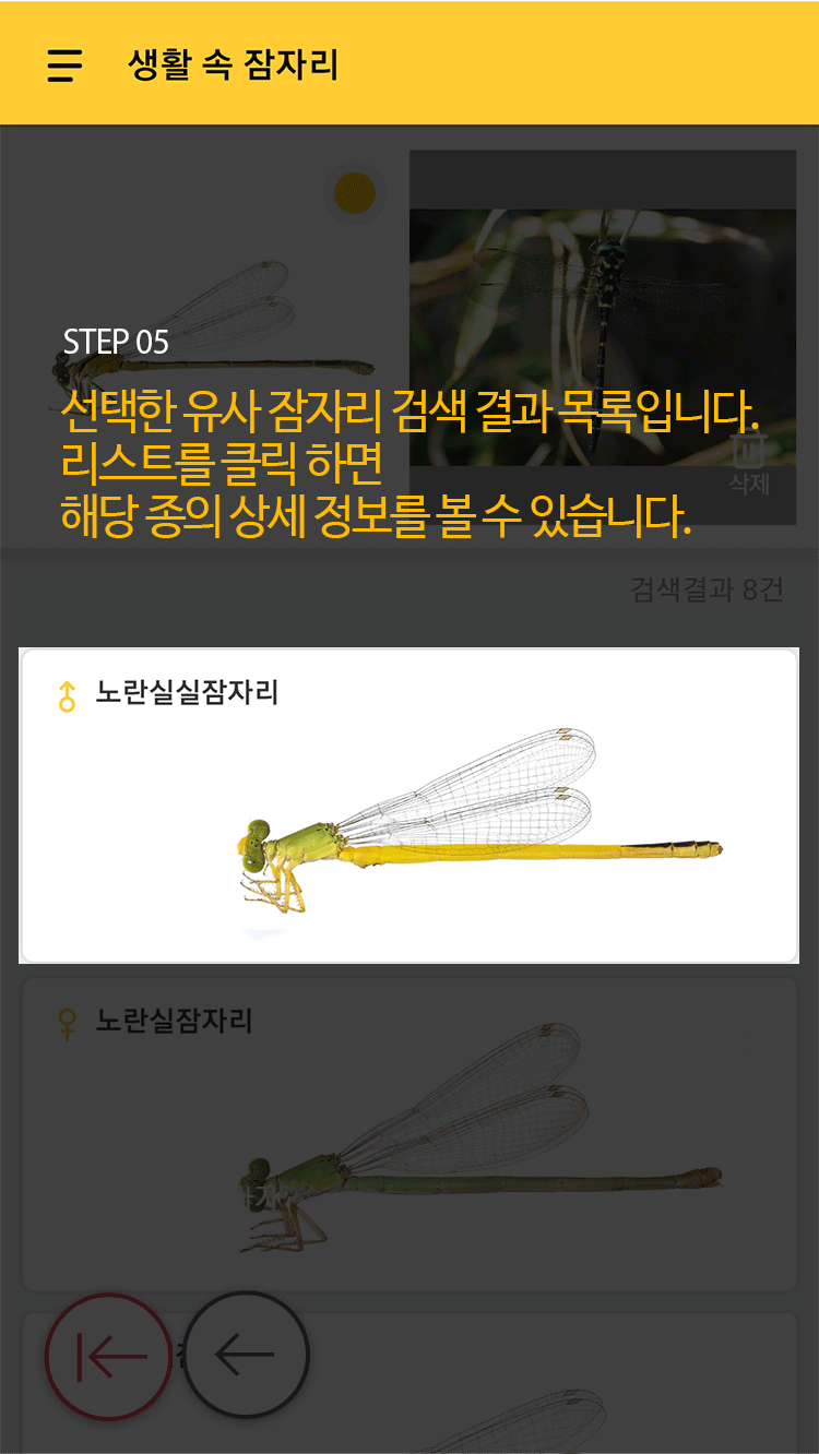 STEP 05 선택한 유사 잠자리 검색 결과 목록입니다. 리스트를 클릭 하면 해당 종의 상세 정보를 볼 수 있습니다.