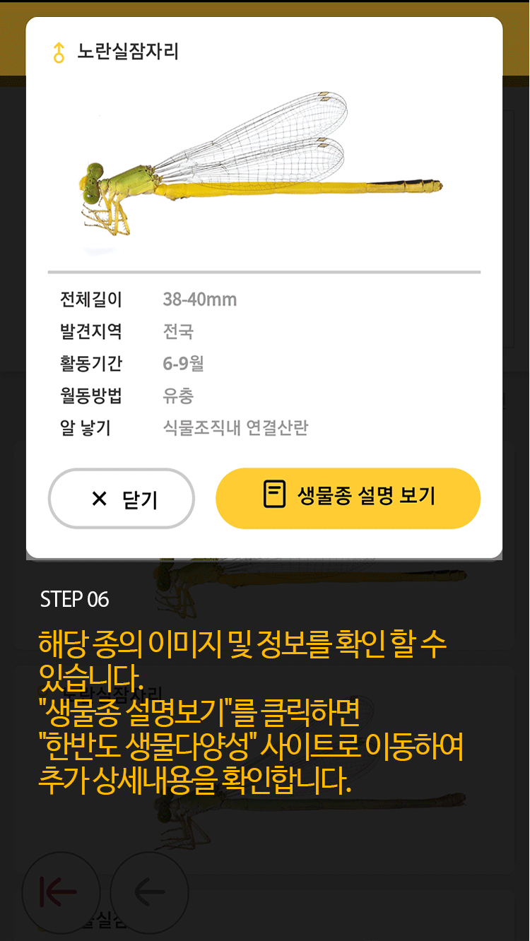 STEP 06 해당 종의 이미지 및 정보를 확인 할 수 있습니다.'생물종 설명보기'를 클릭하면 '한반도 생물다양성' 사이트로 이동하여 추가 상세내용을 확인합니다.